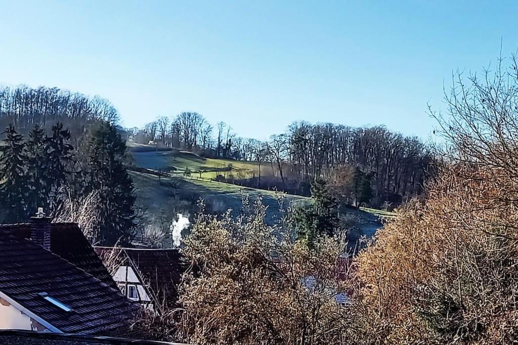 Kleine, Gemuetliche Dachgeschosswohnung Laudenbach  Экстерьер фото